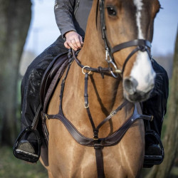 LeMieux DryTex Stormwear wasserdichte Chaps LeMieux DryTex Stormwear wasserdichte Chaps
