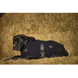 Polar-Decke Diego & Louna Teddy Polar-Decke Diego & Louna Teddy
