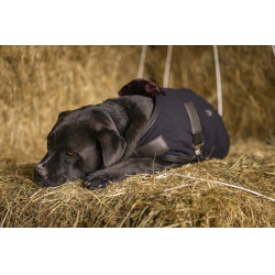 Polar-Decke Diego & Louna Teddy Polar-Decke Diego & Louna Teddy