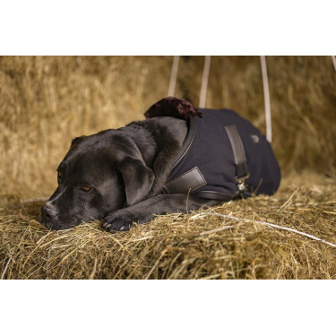 Polar-Decke Diego & Louna Teddy Polar-Decke Diego & Louna Teddy
