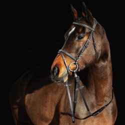Trense Constance Horze Schwarz Trense Constance Horze Schwarz