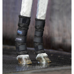 Arctic Ice Kühlgamaschen LeMieux Schwarz