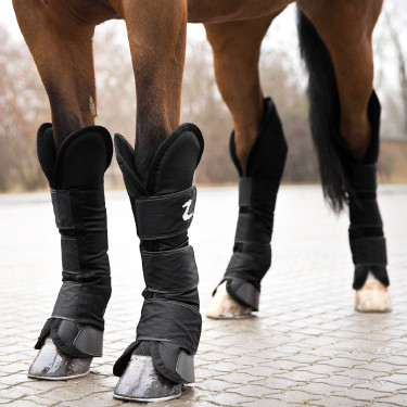 Transportgamaschen fürs Pferd – sicherer Anhängerschutz | equi-clic