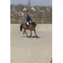 Pro-Series-Jacke Equilibre Marineblau Pro-Series-Jacke Equilibre Marineblau