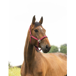 Halfter Equithème Air Halfter Equithème Air
