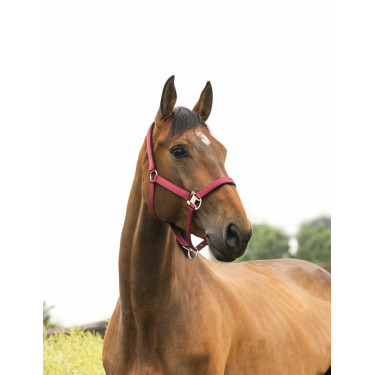 Halfter Equithème Air Halfter Equithème Air