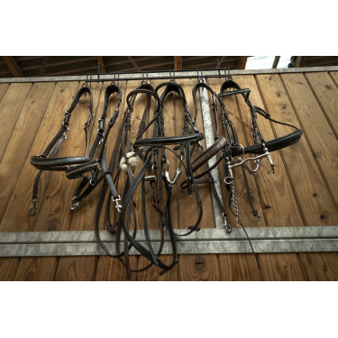 Trensenhalter Hippotonic 6 Plätze, mit Haken Trensenhalter Hippotonic 6 Plätze, mit Haken