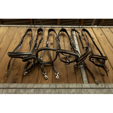 Trensenhalter Hippotonic 6 Plätze, mit Haken Trensenhalter Hippotonic 6 Plätze, mit Haken