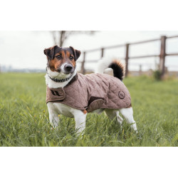 Hundemantel Back on Track® Haze Collection Hundemantel Back on Track® Haze Collection