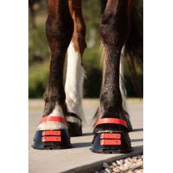 Vorderes Riemenset Scoot Boots Vorderes Riemenset Scoot Boots