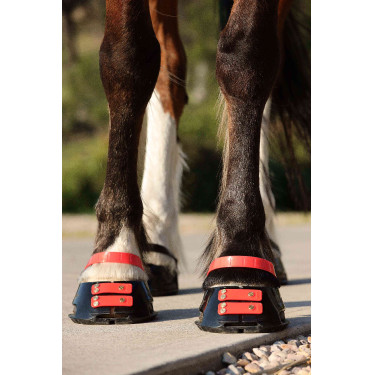 Vorderes Riemenset Scoot Boots Vorderes Riemenset Scoot Boots