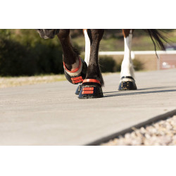 Vorderes Riemenset Scoot Boots Vorderes Riemenset Scoot Boots