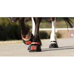 Vorderes Riemenset Scoot Boots Vorderes Riemenset Scoot Boots