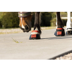Vorderes Riemenset Scoot Boots Vorderes Riemenset Scoot Boots