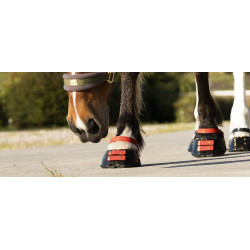 Vorderes Riemenset Scoot Boots Vorderes Riemenset Scoot Boots