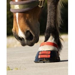 Vorderes Riemenset Scoot Boots Vorderes Riemenset Scoot Boots