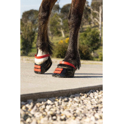 Vorderes Riemenset Scoot Boots Vorderes Riemenset Scoot Boots