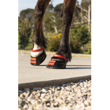 Vorderes Riemenset Scoot Boots Vorderes Riemenset Scoot Boots