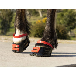 Vorderes Riemenset Scoot Boots Vorderes Riemenset Scoot Boots