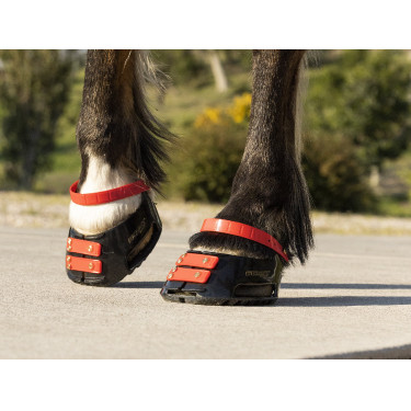 Vorderes Riemenset Scoot Boots Vorderes Riemenset Scoot Boots