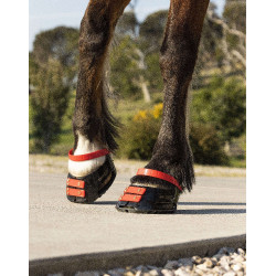 Vorderes Riemenset Scoot Boots Vorderes Riemenset Scoot Boots