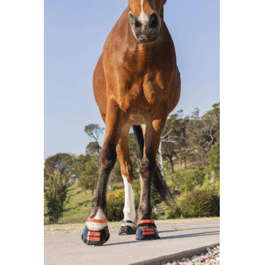 Vorderes Riemenset Scoot Boots Vorderes Riemenset Scoot Boots