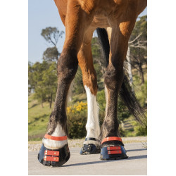 Vorderes Riemenset Scoot Boots Vorderes Riemenset Scoot Boots