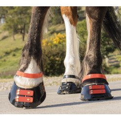 Vorderes Riemenset Scoot Boots Vorderes Riemenset Scoot Boots