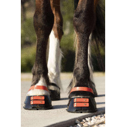 Vorderes Riemenset Scoot Boots Vorderes Riemenset Scoot Boots