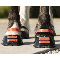 Vorderes Riemenset Scoot Boots Vorderes Riemenset Scoot Boots