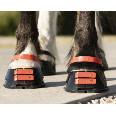 Vorderes Riemenset Scoot Boots Vorderes Riemenset Scoot Boots