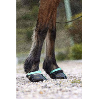 Vorderes Riemenset Scoot Boots Aquamarin Blau Vorderes Riemenset Scoot Boots Aquamarin Blau