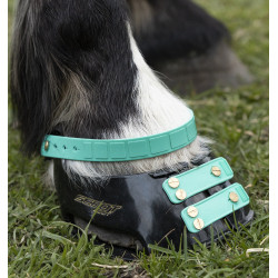 Vorderes Riemenset Scoot Boots Aquamarin Blau