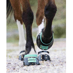Vorderes Riemenset Scoot Boots Aquamarin Blau