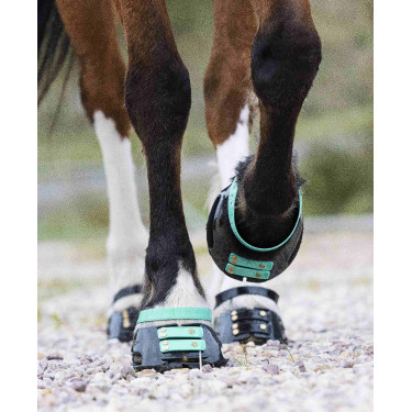 Vorderes Riemenset Scoot Boots Aquamarin Blau