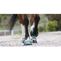 Vorderes Riemenset Scoot Boots Aquamarin Blau