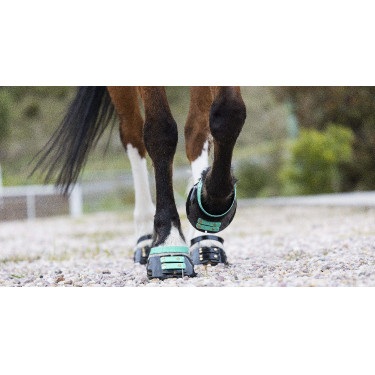 Vorderes Riemenset Scoot Boots Aquamarin Blau