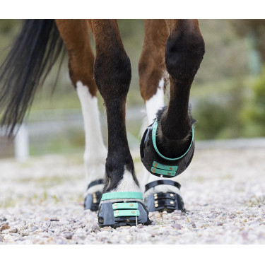 Vorderes Riemenset Scoot Boots Aquamarin Blau