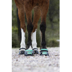 Vorderes Riemenset Scoot Boots Aquamarin Blau