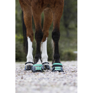 Vorderes Riemenset Scoot Boots Aquamarin Blau