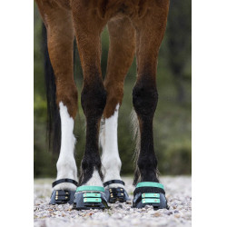 Vorderes Riemenset Scoot Boots Aquamarin Blau