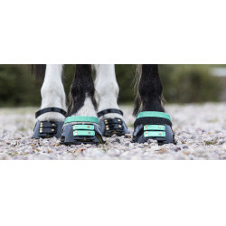 Vorderes Riemenset Scoot Boots Aquamarin Blau