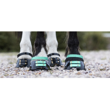 Vorderes Riemenset Scoot Boots Aquamarin Blau