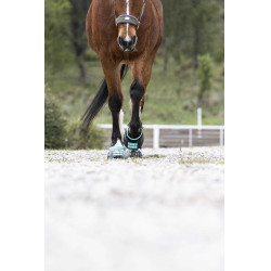 Vorderes Riemenset Scoot Boots Aquamarin Blau