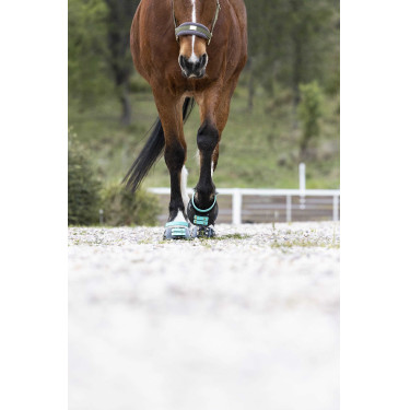 Vorderes Riemenset Scoot Boots Aquamarin Blau