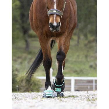 Vorderes Riemenset Scoot Boots Aquamarin Blau
