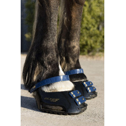 Vorderes Riemenset Scoot Boots Marineblau