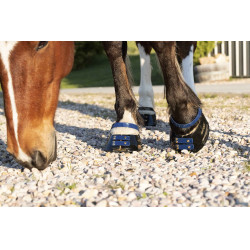 Vorderes Riemenset Scoot Boots Marineblau