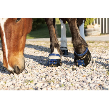 Vorderes Riemenset Scoot Boots Marineblau