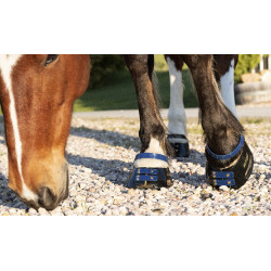 Vorderes Riemenset Scoot Boots Marineblau